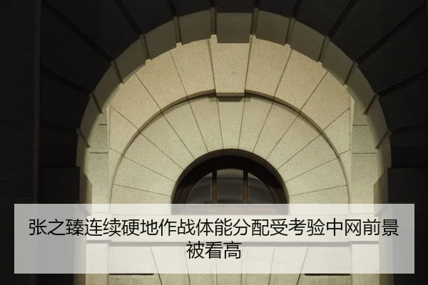 张之臻连续硬地作战体能分配受考验中网前景被看高