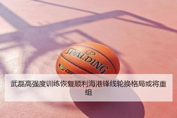武磊高强度训练恢复顺利海港锋线轮换格局或将重组