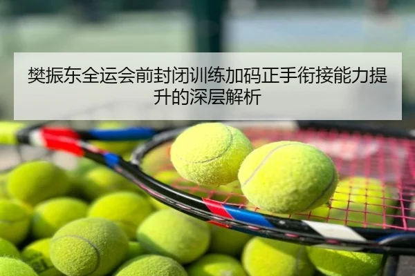 樊振东全运会前封闭训练加码正手衔接能力提升的深层解析